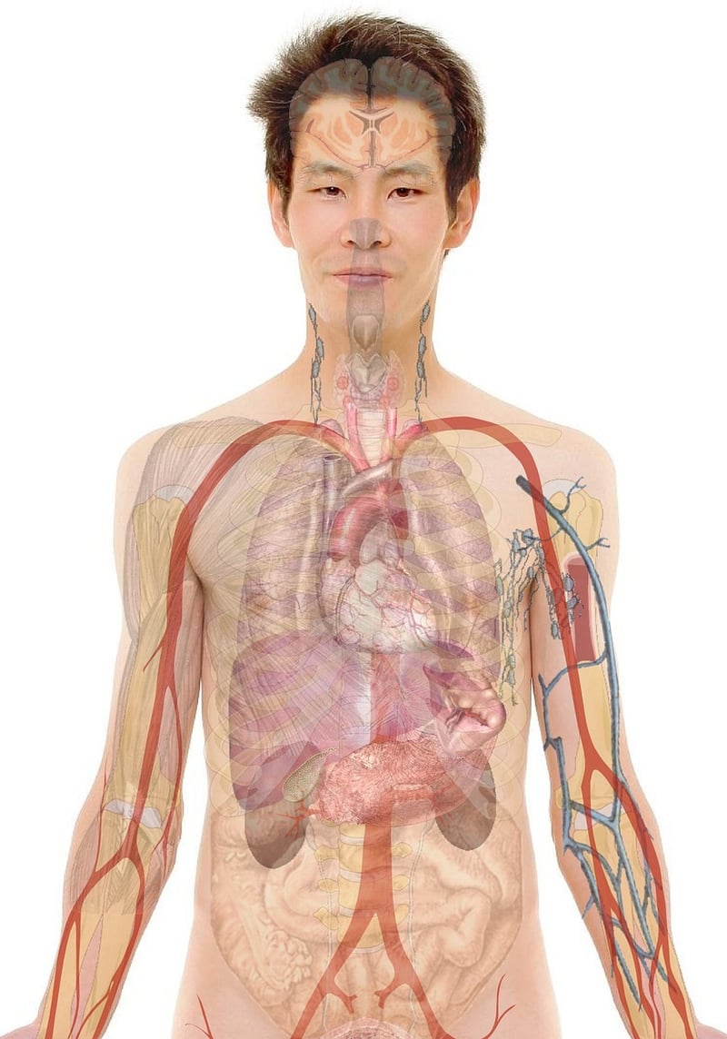 Guided Body Awareness